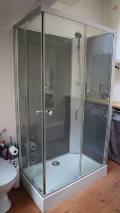 Maison Atypique, Centre-Ville 2+2 Pers Sauna Ir 세단 외부 사진