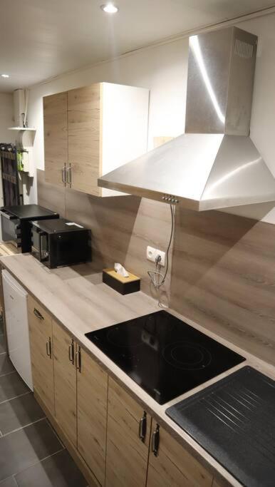 Maison Atypique, Centre-Ville 2+2 Pers Sauna Ir 세단 외부 사진